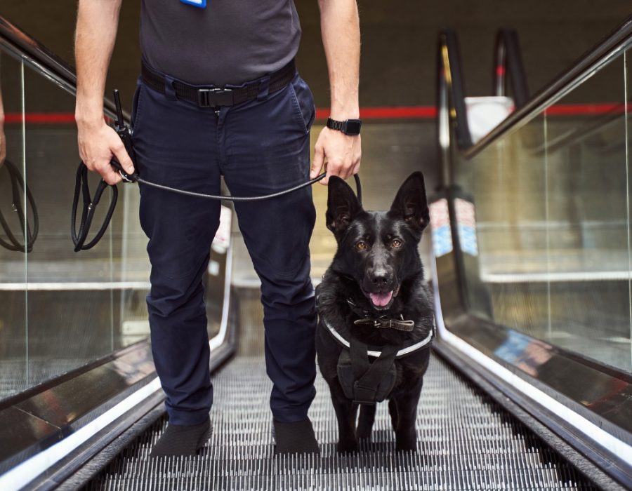private security guard (1)